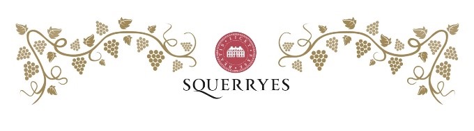 Squerryes 2023 Grape Harvest update