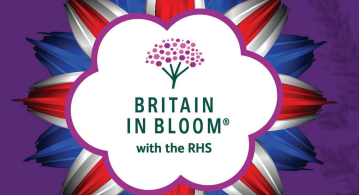 Going for Gold in the Britain in Bloom national competition